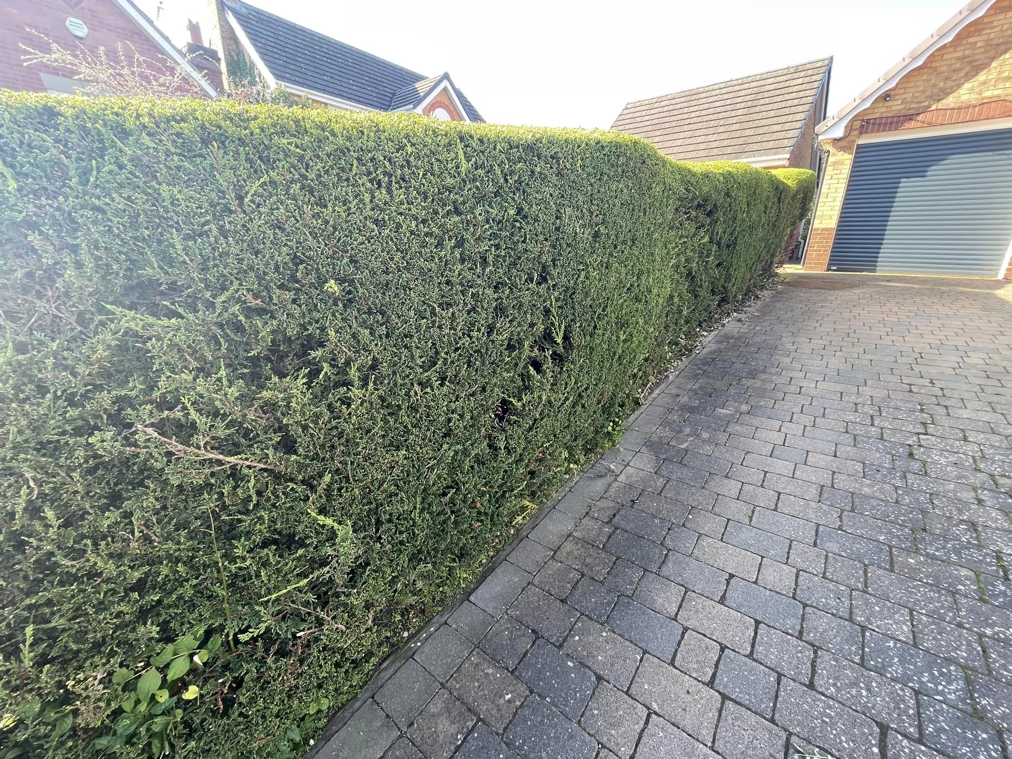 Hedge trimming service across Worcestershire